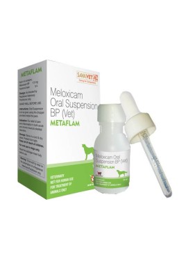 Sava Healthcare Metaflam Oral Suspension-15ml